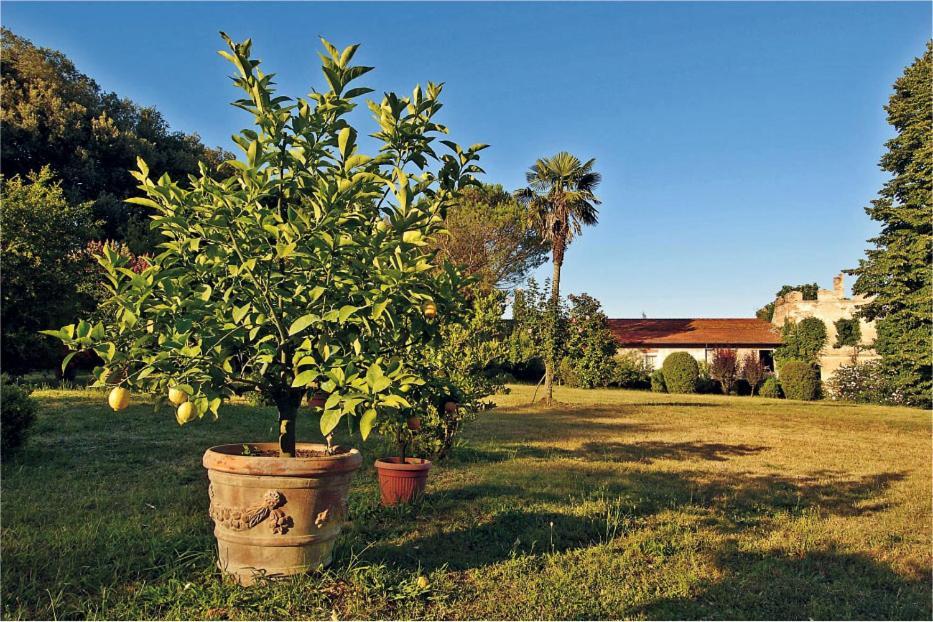Fattoria Agriturismo Bigongiari Lucca Eksteriør bilde